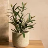 Roslina Sztuczna Semela Krzak Oliwny 35 Cm