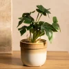 Roslina Sztuczna Semela Monstera 25 Cm