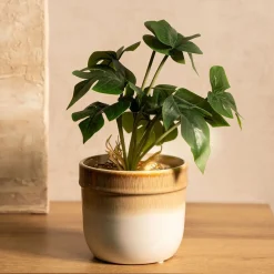 Roslina Sztuczna Semela Monstera 25 Cm
