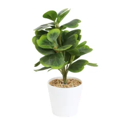 Roslina Sztuczna Semela Peperomia 30 Cm