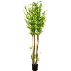 Roslina Sztuczna Tropical Zone Bambus 180 Cm