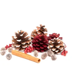 Susz Dekoracyjny Roque Pine & Cinnamon 12X16 Cm