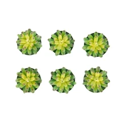 Zestaw Swiec Jade 6 Szt. Sukulenty 166 G