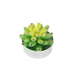 Zestaw Swiec Jade 6 Szt. Sukulenty 166 G